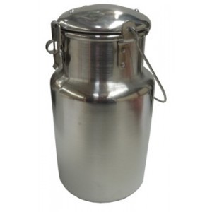 https://dev.bazari.fr/5147-thickbox/bidon-a-lait-alu-2-litres-en-aluminium-premier-prix.jpg