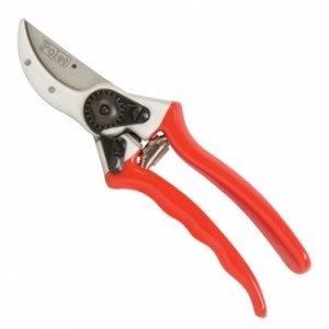 https://dev.bazari.fr/8865-thickbox/secateur-de-jardin-garden-pruner-21-cm.jpg